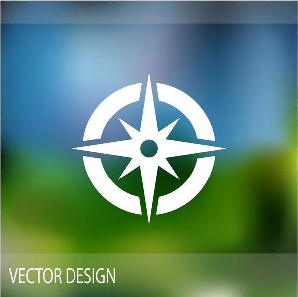 Compass web icon — Stock Vector