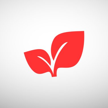 Yaprakları basit organik kavramı