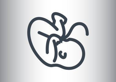 Embryon Bebek göbek simgesiyle 