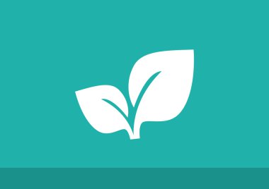 Yaprakları basit organik kavramı 