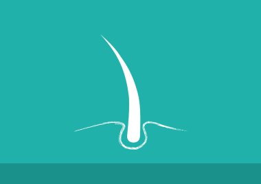 Hasarlı saçın web simgesi 