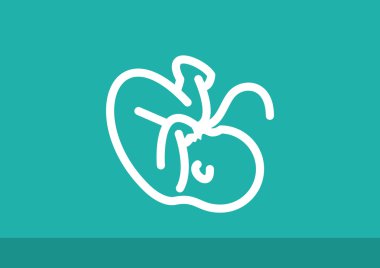 Embryon Bebek göbek simgesiyle 