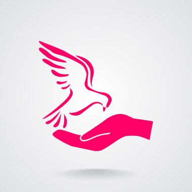 Güvercin web simgesi