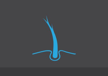 Hasarlı saçın web simgesi