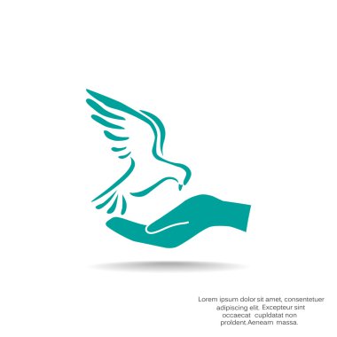 Güvercin web simgesi 