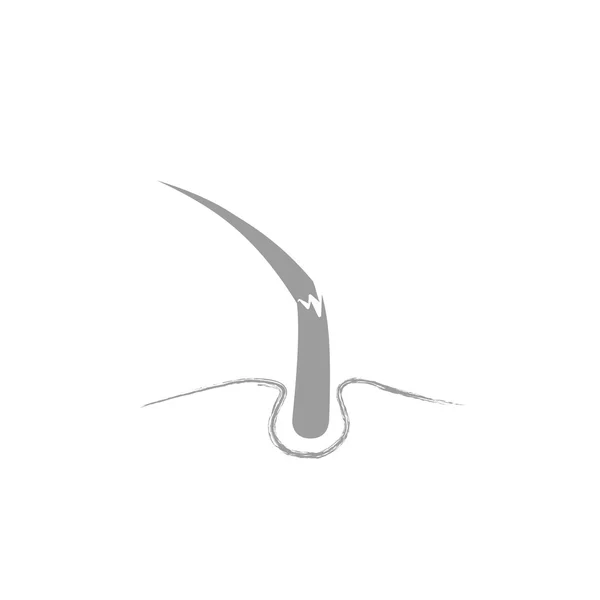 Icône Web cheveux — Image vectorielle
