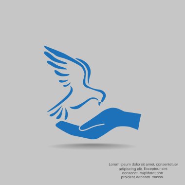 Güvercin web simgesi 