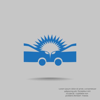 Otomatik kaza web simgesi