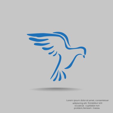 Güvercin web simgesi 