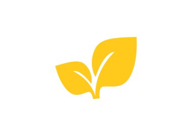 Yaprakları basit organik kavramı