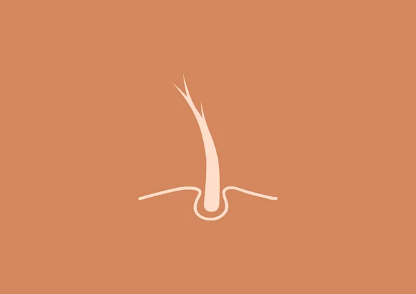 Icône web cheveux sains — Image vectorielle