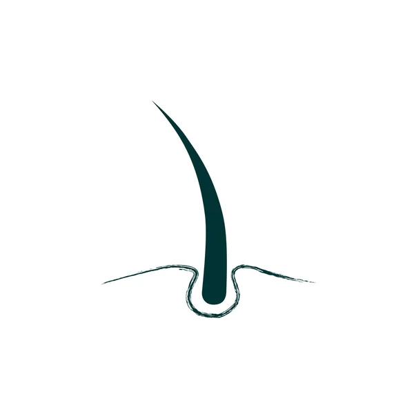 Friskt hår Spindelväv ikonen — Stock vektor