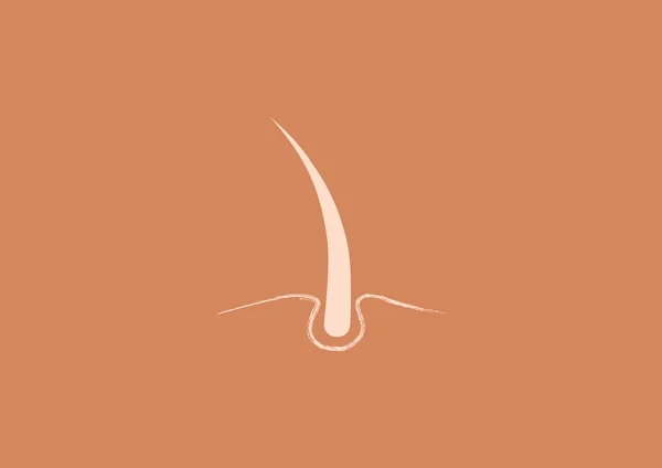 Friskt hår Spindelväv ikonen — Stock vektor