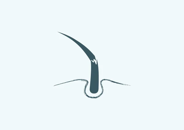 Icono web de cabello dañado — Vector de stock