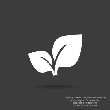 Yaprakları basit organik kavramı