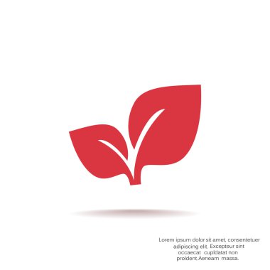 Yaprakları basit organik kavramı