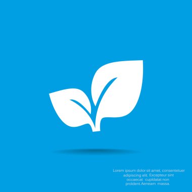 Yaprakları basit organik kavramı