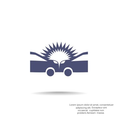 Otomatik kaza web simgesi