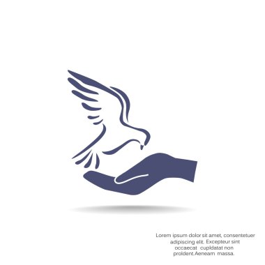 Güvercin, web simgesi