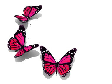 Grup renkli kelebekler