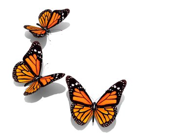 Grup renkli kelebekler