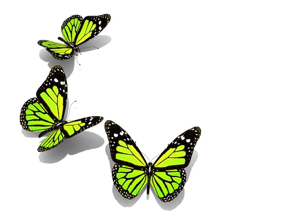 A színes pillangók csoport — Stock Fotó