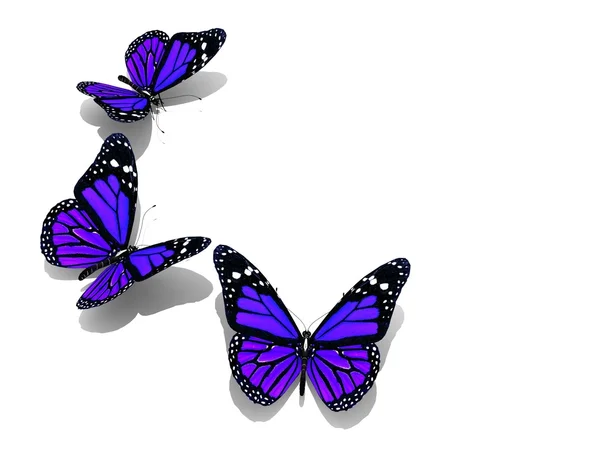 カラフルな蝶のグループ — ストック写真