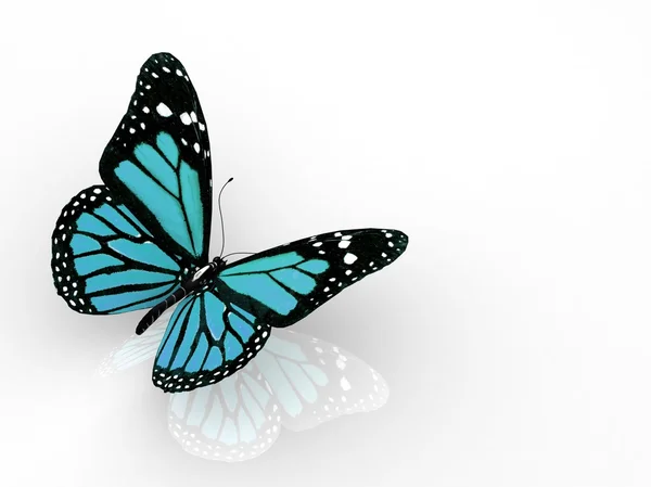 Jeden barevný motýl — Stock fotografie