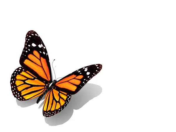Hermosa mariposa 3D — Foto de Stock