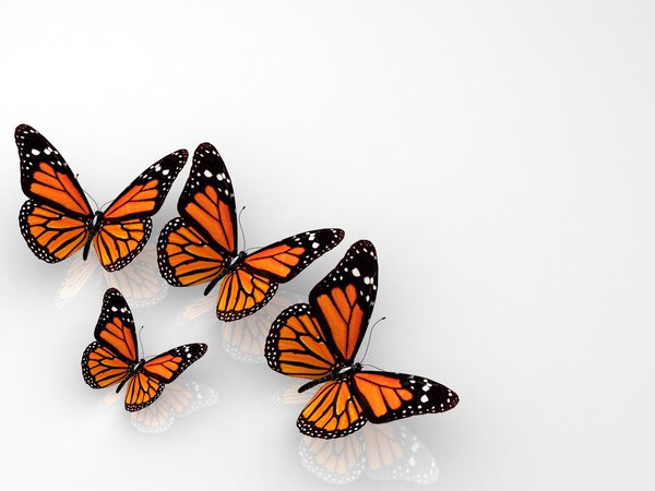 Group of beautiful 3d butterflies