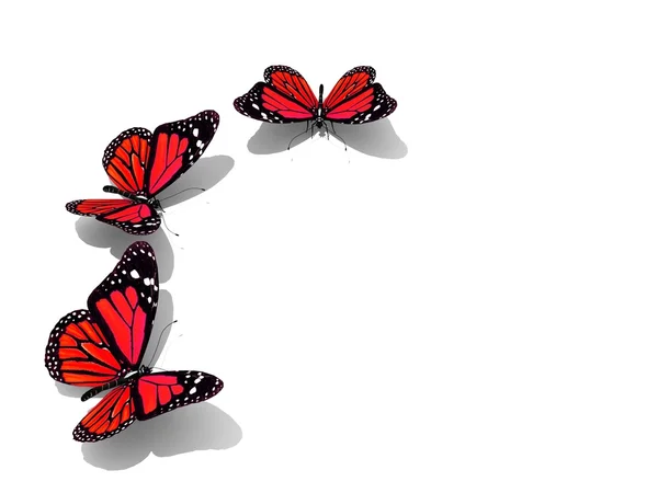 Gruppo di belle farfalle 3d — Foto Stock