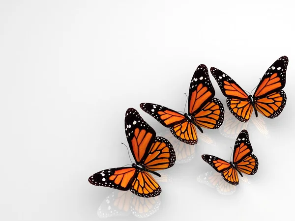 Group of beautiful 3d butterflies — Stock Photo, Image