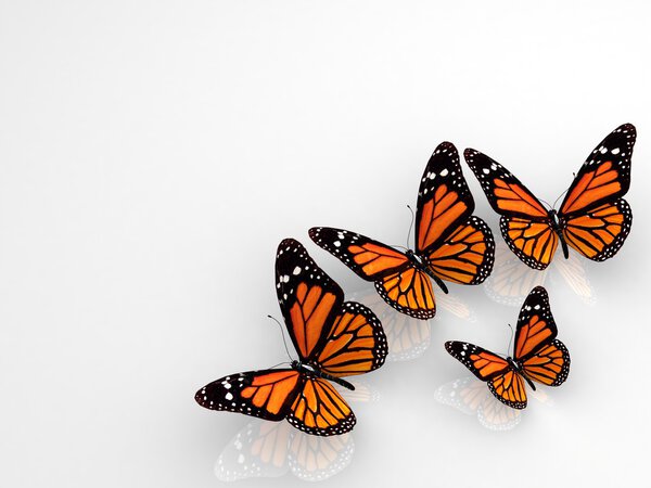 Group of beautiful 3d butterflies