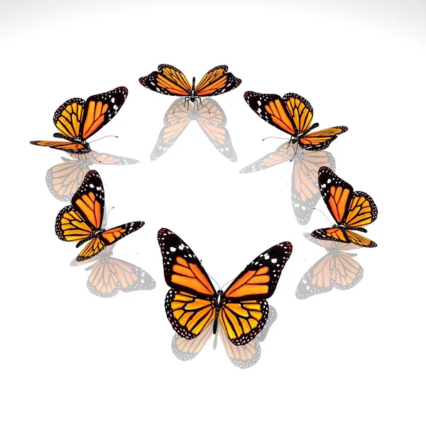 Group of beautiful 3d butterflies — Stock Photo, Image