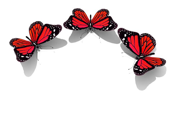 Group of beautiful 3d butterflies