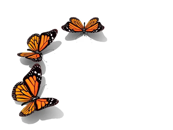Skupina krásné 3d motýlů — Stock fotografie
