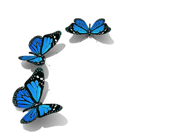 Group of beautiful 3d butterflies — Stock Photo, Image