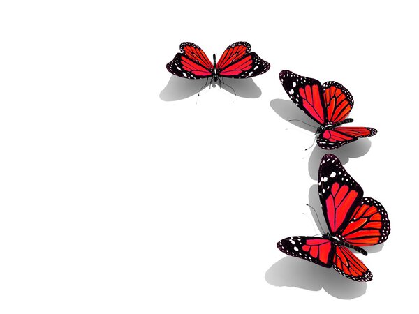 Group of beautiful 3d butterflies