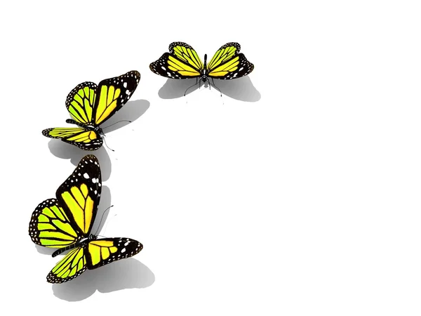 Skupina krásné 3d motýlů — Stock fotografie