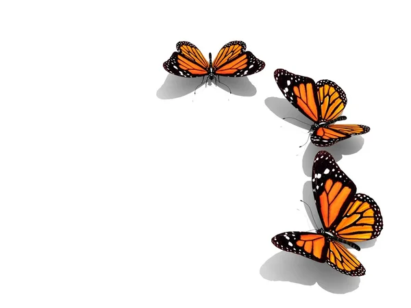 Group of beautiful 3d butterflies — Stock Photo, Image