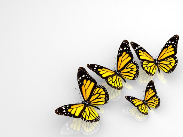 Group of beautiful 3d butterflies