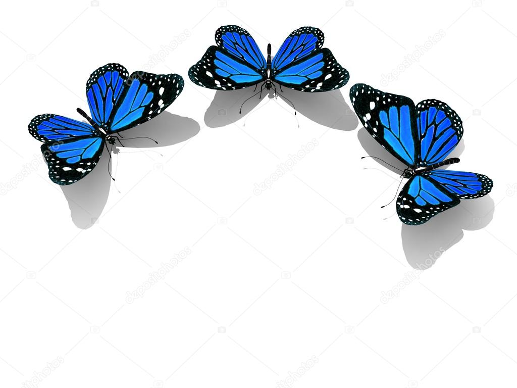 Group of beautiful 3d butterflies Stock Photo by ©LovArt 65868917