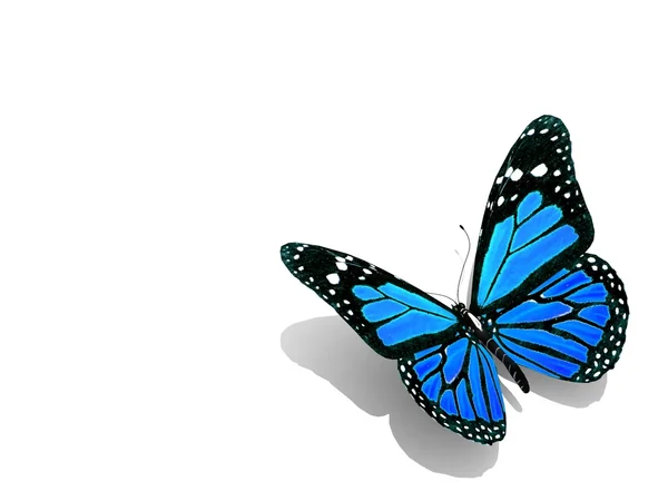 Красивая трехмерная бабочка — стоковое фото