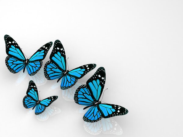 Group of beautiful 3d butterflies
