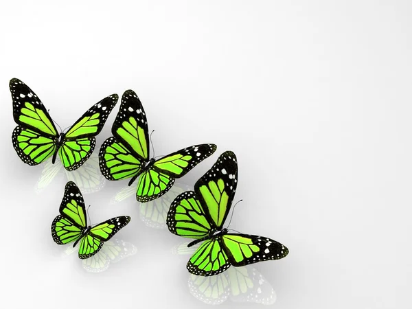 Grupo de belas borboletas 3d — Fotografia de Stock
