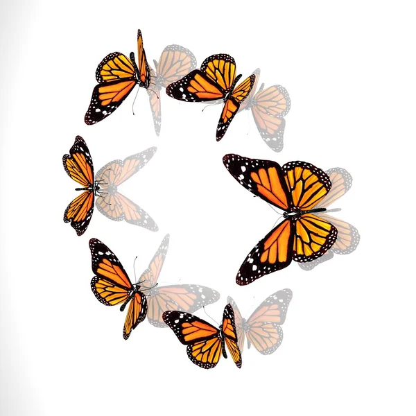 Group of beautiful 3d butterflies — Stock Photo, Image