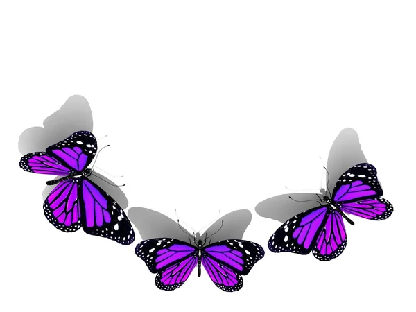 3 d の美しい蝶のグループ — ストック写真