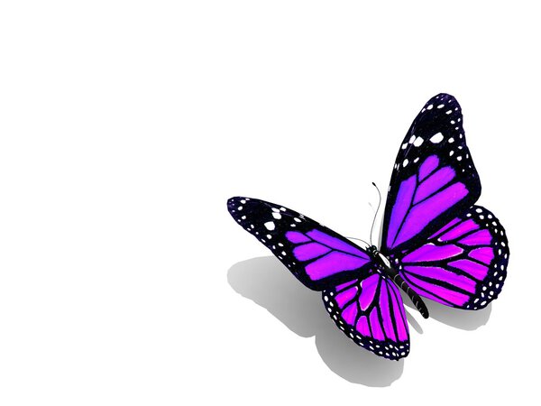Beautiful 3d butterfly