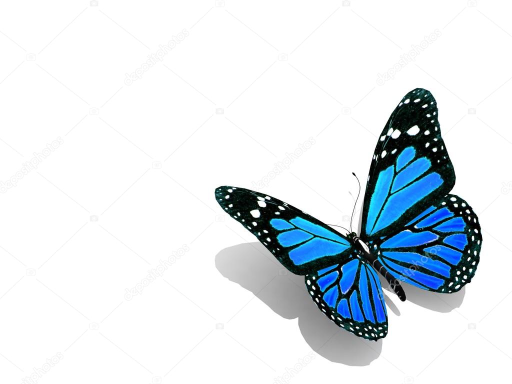 Beautiful 3d butterfly Stock Photo by ©LovArt 65870129