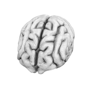 Beyaz bir arka plan üzerinde insan beyni